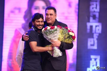 Bengal Tiger Movie Audio Launch